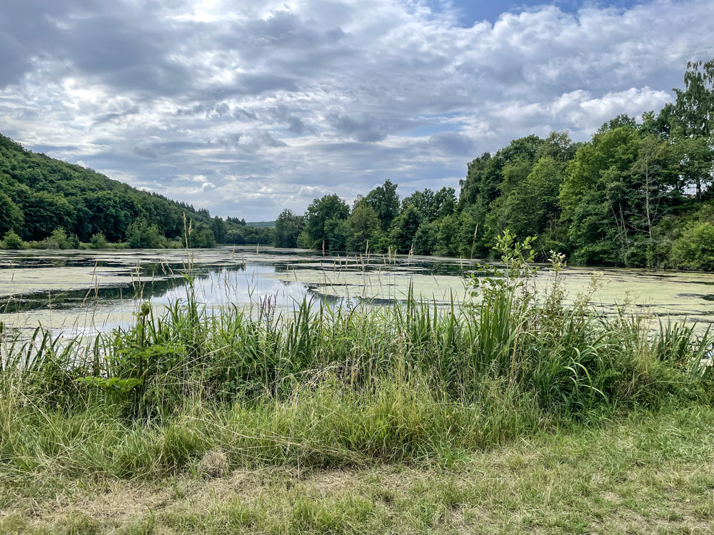 Möttau 07 2025 1