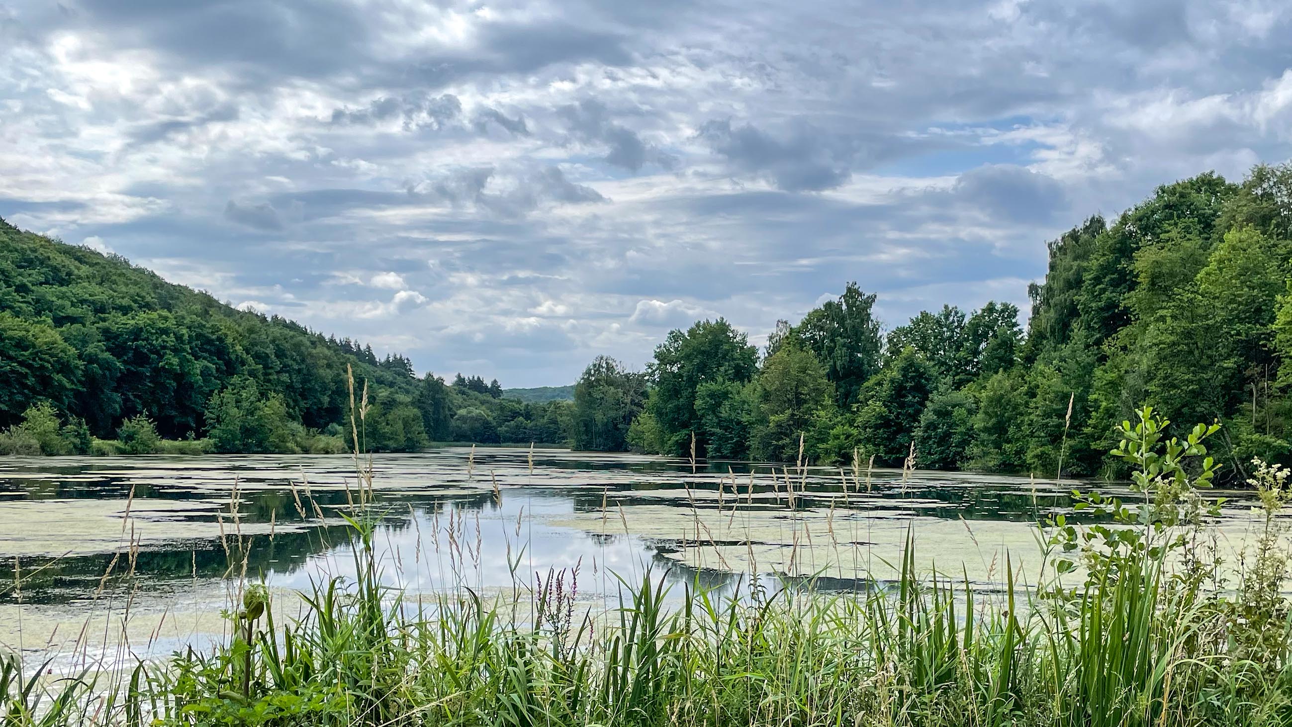 Moettauer Weiher 2025