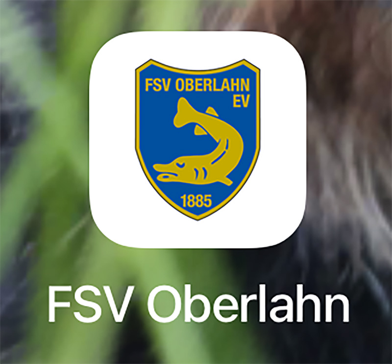 AppFSV 2